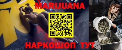 прущие грибы Канаш