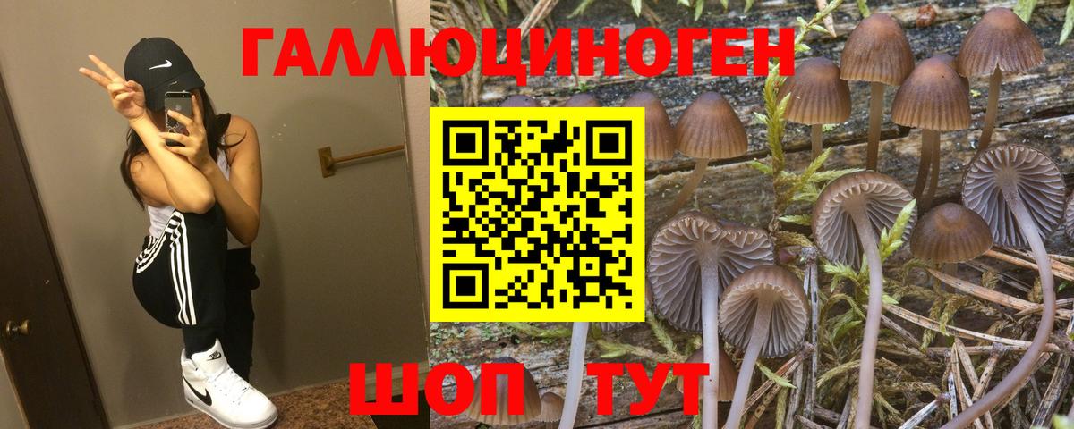 Унеча  Псилоцибиновые грибы MAGIC MUSHROOMS  Галлюциногенные грибы MAGIC MUSHROOMS  как найти наркотики  Вход с VPN 